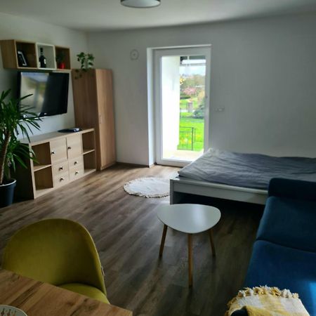 Rooms And Apartments Vili Ptuj Luaran gambar